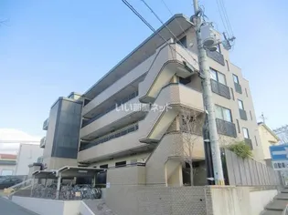 サン フォーレストの画像