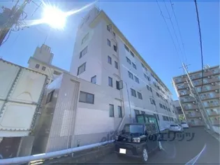 カルテットKOBORIの画像