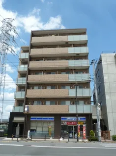 SERENO KAMIYAの画像