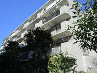 グリーンリーブス大倉山の画像