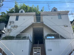 PLUMERIA菊名の画像