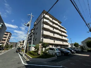 ピアドミール【6階】の外観