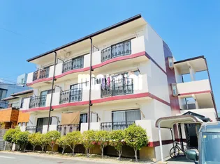 ルミナス中浜の画像