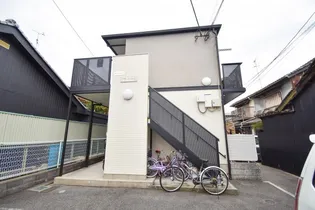 フラットコートの画像