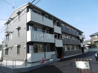 ポーロウニア横山の画像