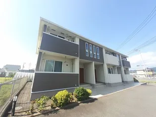 ジェントリースターの画像