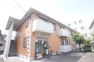 アプリコットアレイの画像