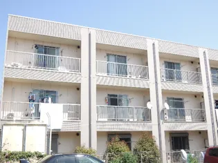 アンプルールフェールYAHAGIの画像