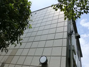 シャロームの画像