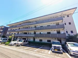 ブルームヒルズの画像