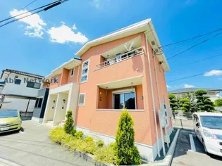 ブローム サマーの画像