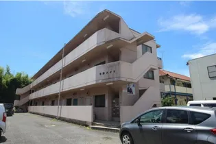 石垣ハイツ【3階】の外観