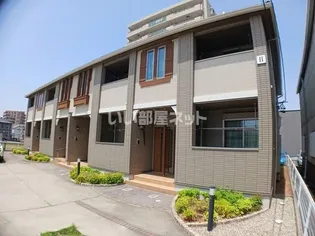 ココペリⅡの画像