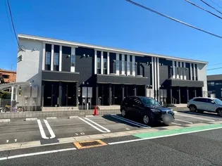 フリージアの画像