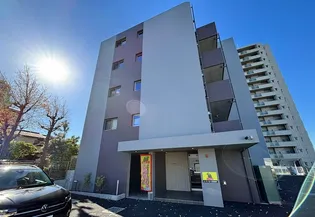 HIGH LANDHONSONの画像