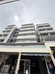 PAULOWNIAVALLEYーTAKE12大口通の画像