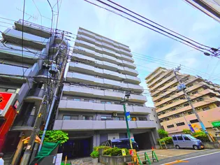 スカイビュウ11の画像