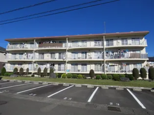 小石川マンションの画像