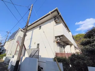 プリムローズの画像