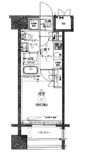 ライジングプレイス川崎【13階】の間取り