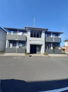 サザンコーポラス C棟の画像