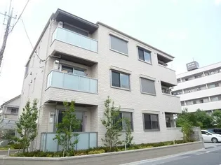 SOLEADOの画像