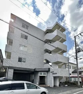 グレイスイセハラの画像