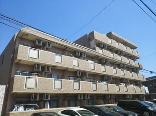 ラヴィアンローズの画像