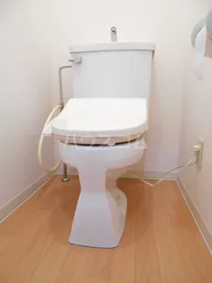 ヴェルドミール清和【3階】の内装