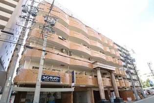 岩井橋ロイヤルハイツ【8階】の外観