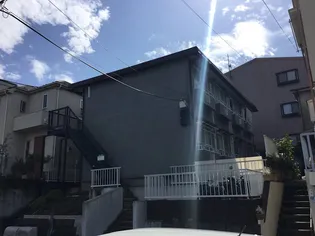 ハミルトン永山の画像