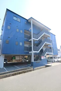 アトラス老松の画像