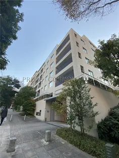 センチュリーフォレスト【4階】の外観