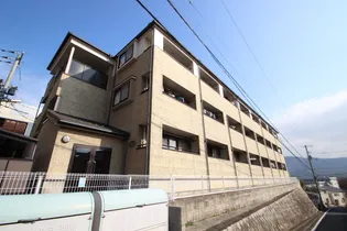 プリムベールの画像