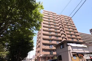 公園通りの画像