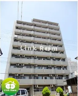 ホタカリュミエール イワタの画像