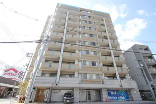 SHETLAND COURTIIの画像