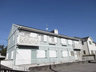 サンオークムカイの画像