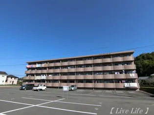 パストラルコートの画像