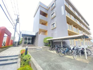 グランド バッハの画像