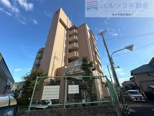 エコーハイツの画像