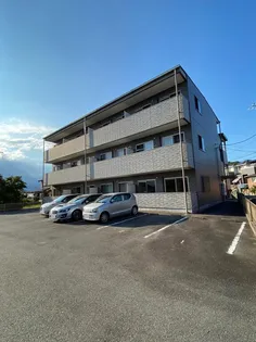 TIARA小杉の画像