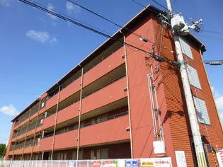 ジュネス新大宮【4階】の外観