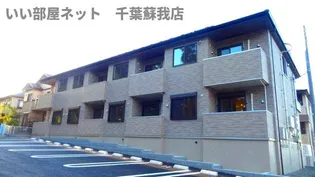 ジャスミンBの画像