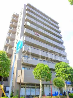 サンフラワー第6の画像