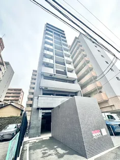 ディアレイシャス金山の画像