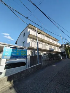 ハイム三軒茶屋【1階】の外観