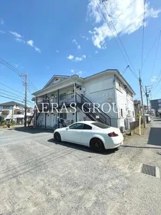 コスモスの画像