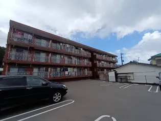 らふぃーね治の画像