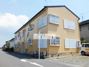 アイリスの画像